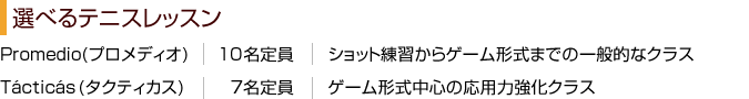 選べるテニスレッスン